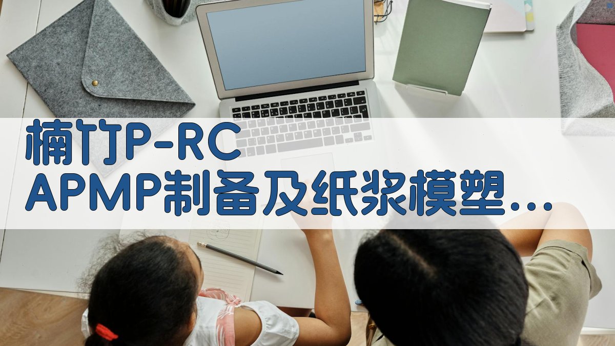 楠竹P-RC APMP制备工艺分析